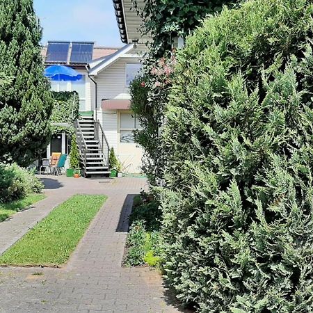 Noclegi U Gosi Mosty Kolo Gdyni Exterior foto